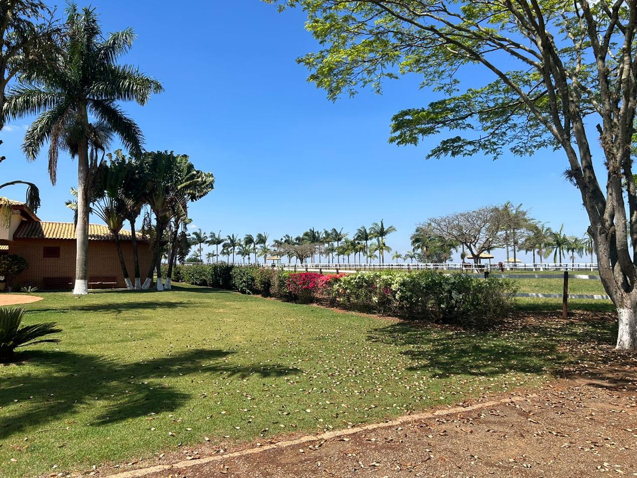 1000071509 1000071509